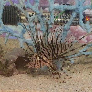 Meet your Posher, Keith